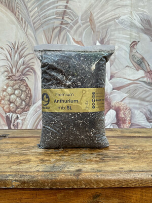 Substrato Anthurium 5 litri