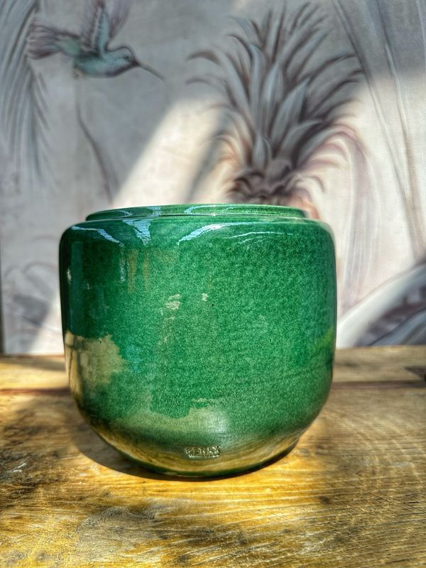 Coprivaso costa XS verde