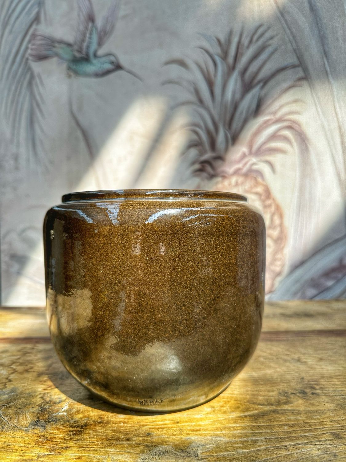 Coprivaso costa XS brown