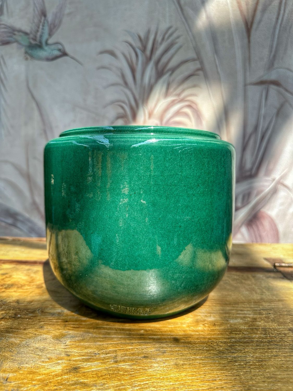 Coprivaso costa S verde