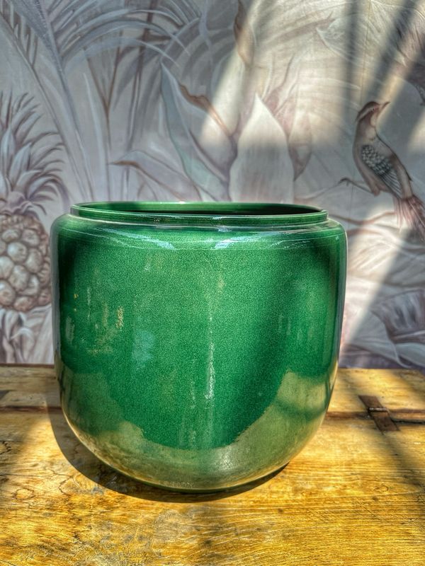 Coprivaso costa XL verde