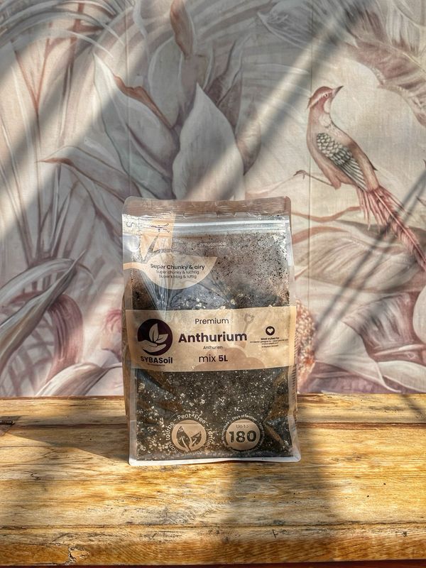 Substrato Anthurium 5 litri