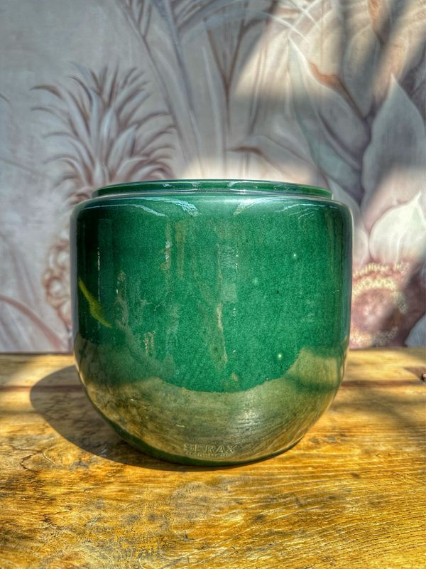 Coprivaso costa M verde