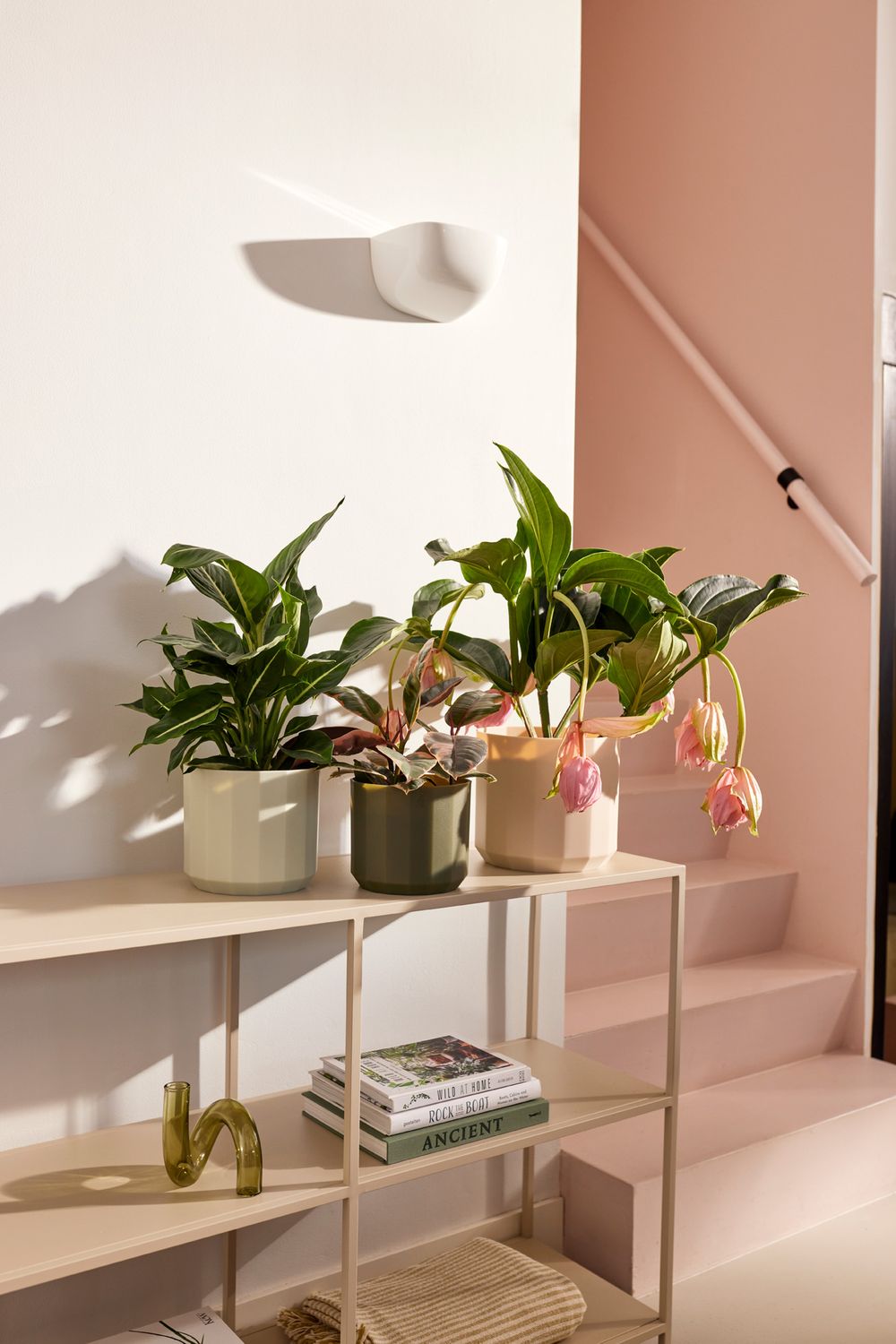 COPRIVASO FACET ROUND