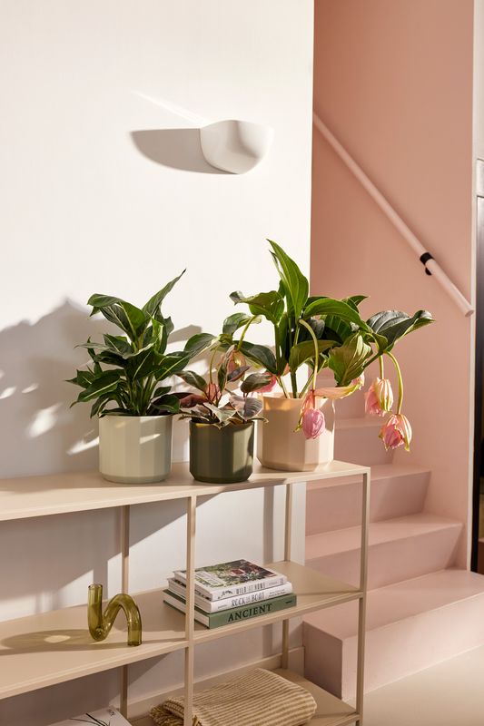 COPRIVASO FACET ROUND