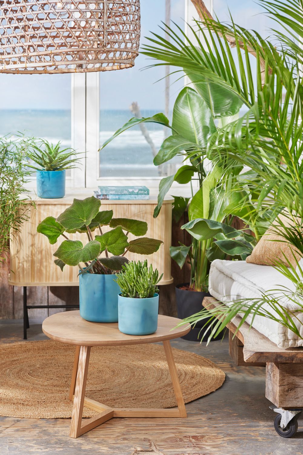 COPRIVASO THE OCEAN COLLECTION