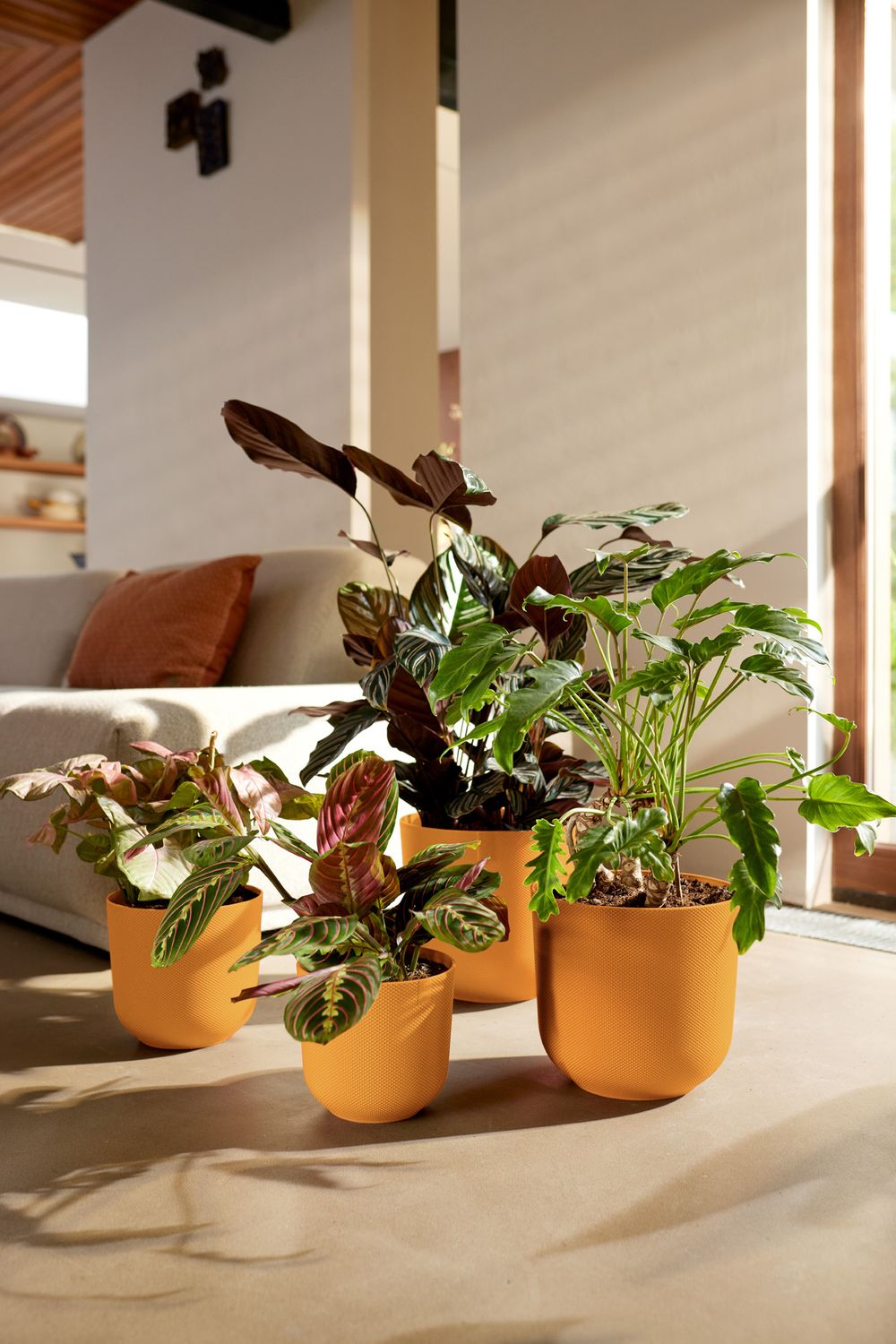 COPRIVASO JAZZ ROUND