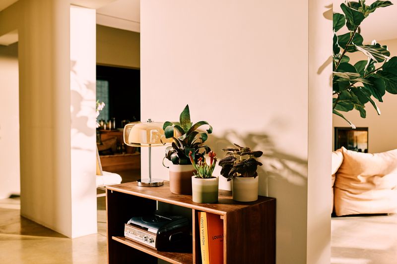 COPRIVASO COLOUR GRADIENT