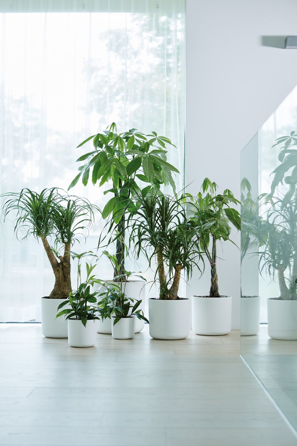 COPRIVASO B.FOR SOFT ROUND