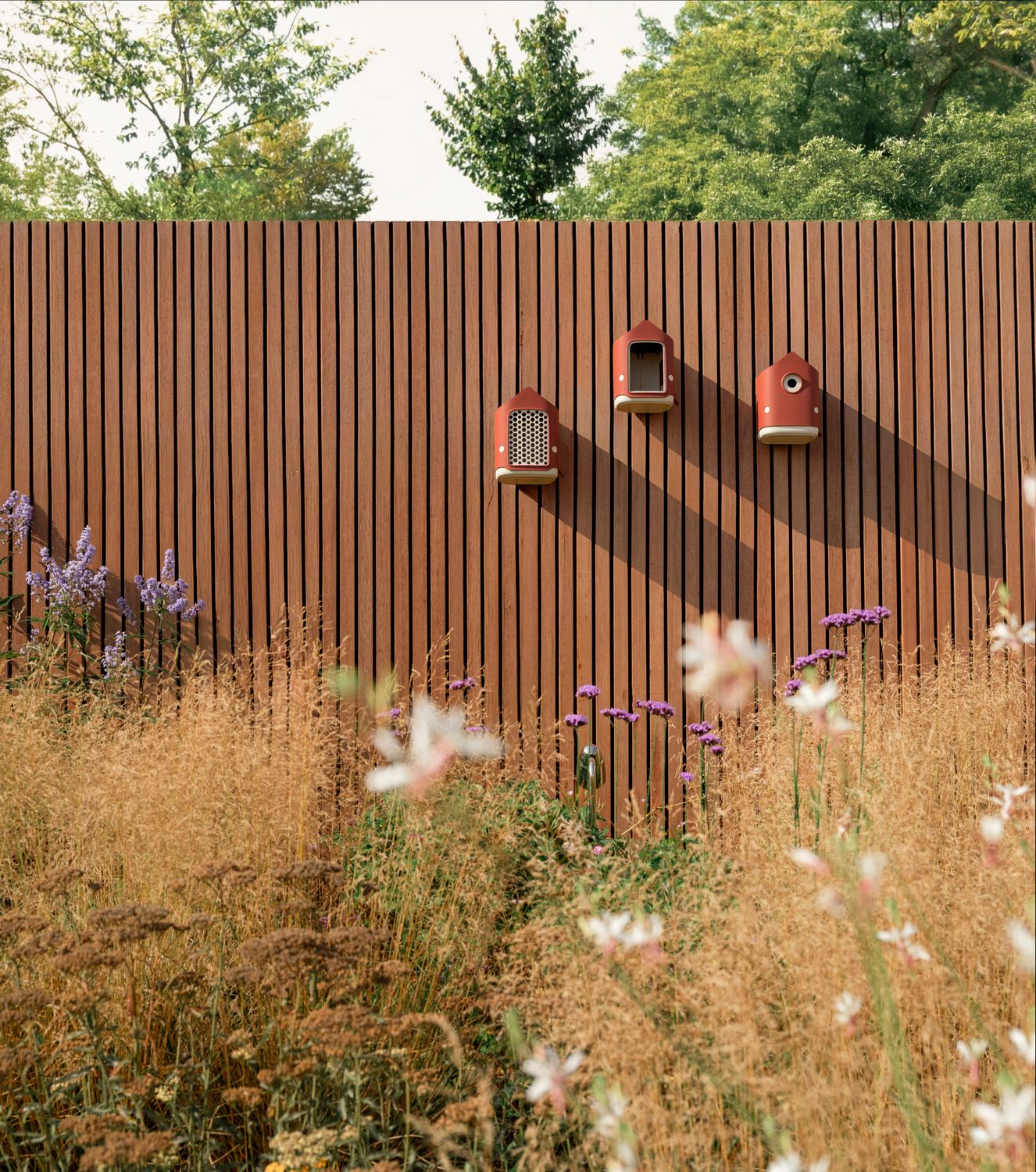 BIODIVERSITY COLLECTION