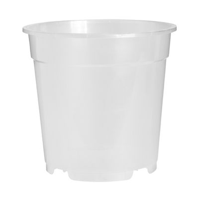 ORCHID POT TRASPARENTE