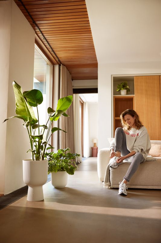 COPRIVASO VIBES FOULD COUPE