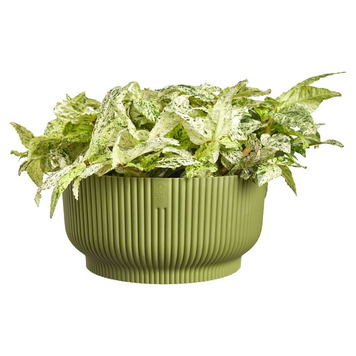COPRIVASO VIBES FOULD BOWL CM 25, Colore: FERN GREEN