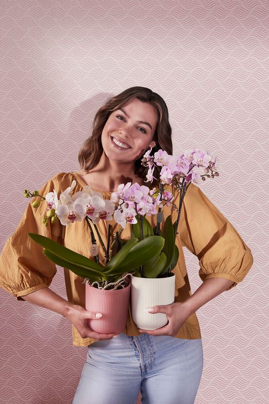 COPRIVASO VIBES FOULD ORCHID HIGH CM 12,5