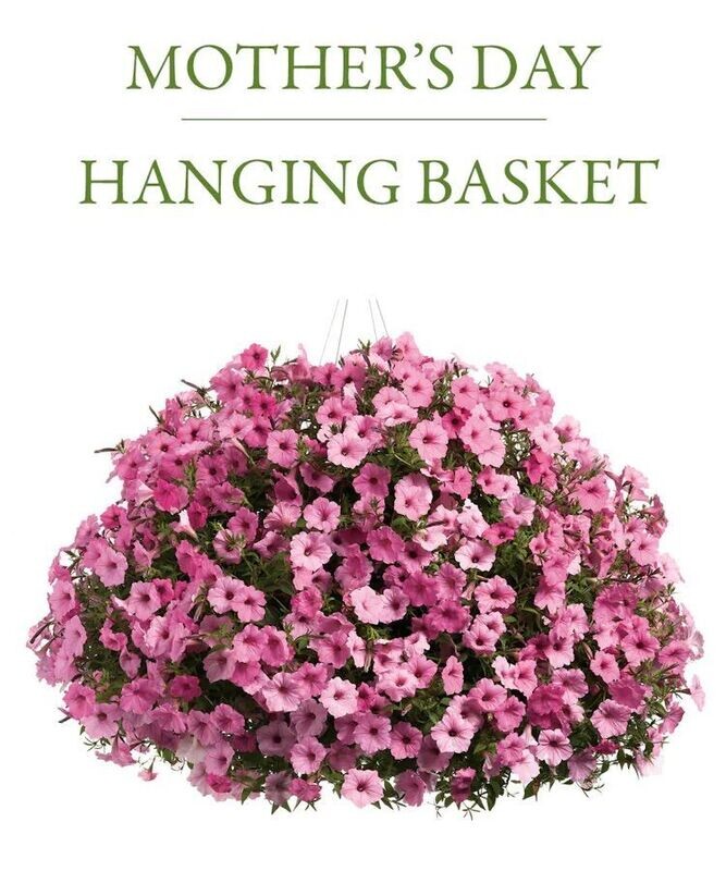 Blooming Hanging Basket