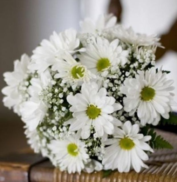 Laurel & Lace Floral Design | Pottstown, PA | Homecoming Daisy 