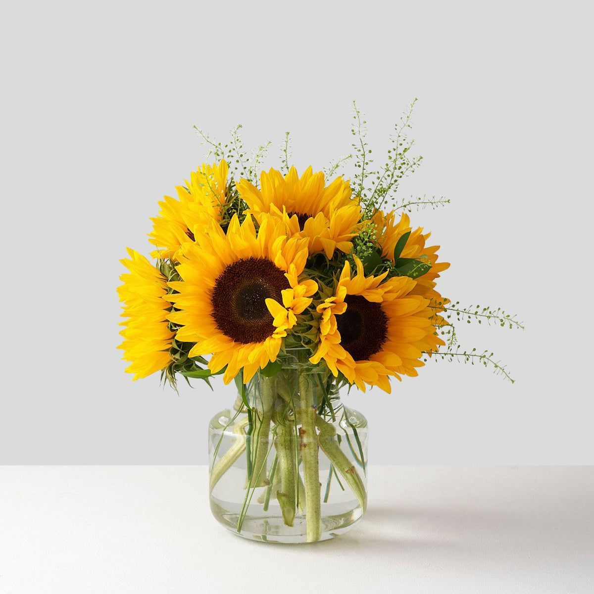 Ms. Sunshine