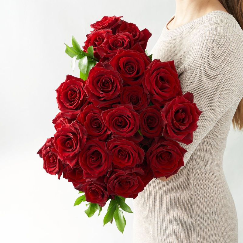 Explorer Roses