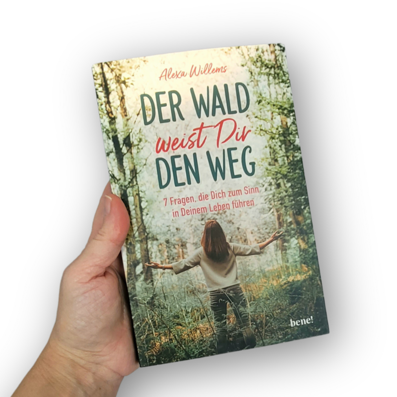 Der Wald als Wegweiser – 7 Fragen für mehr Sinn und Erfüllung im Leben