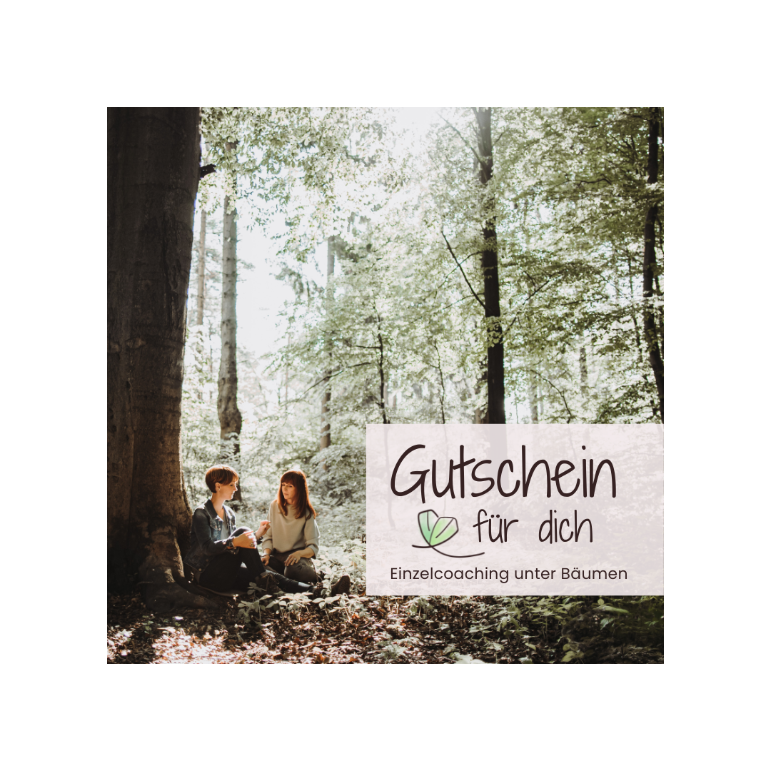Schnupper-Gutschein: Coaching-Wanderung – Klarheit & Balance unter Bäumen