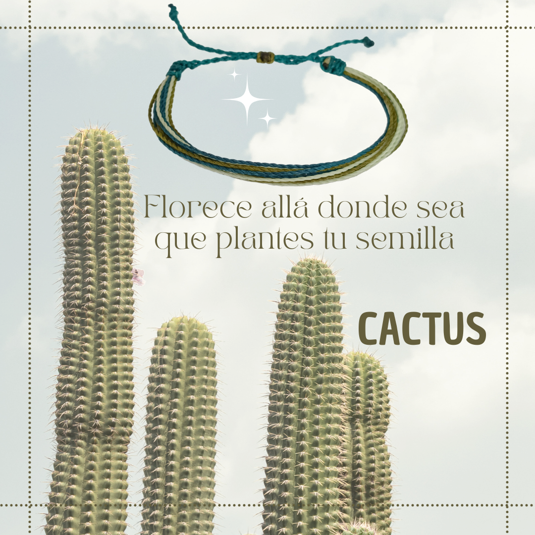 Cactus