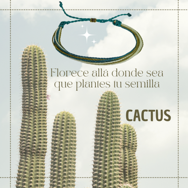Cactus