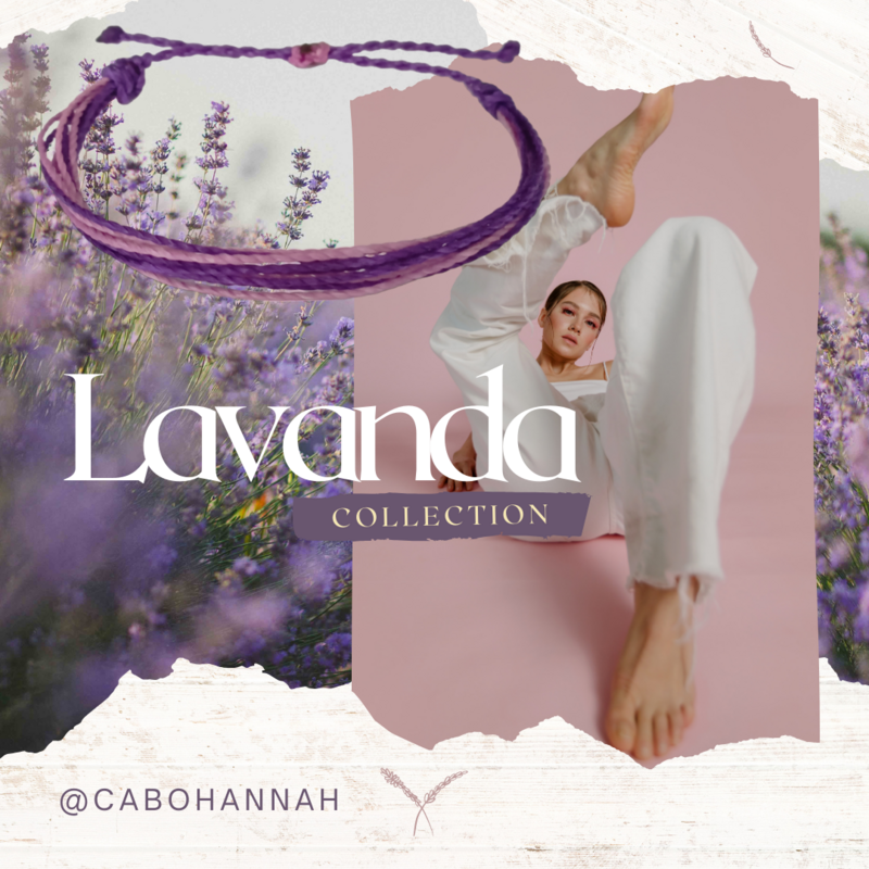 Lavanda
