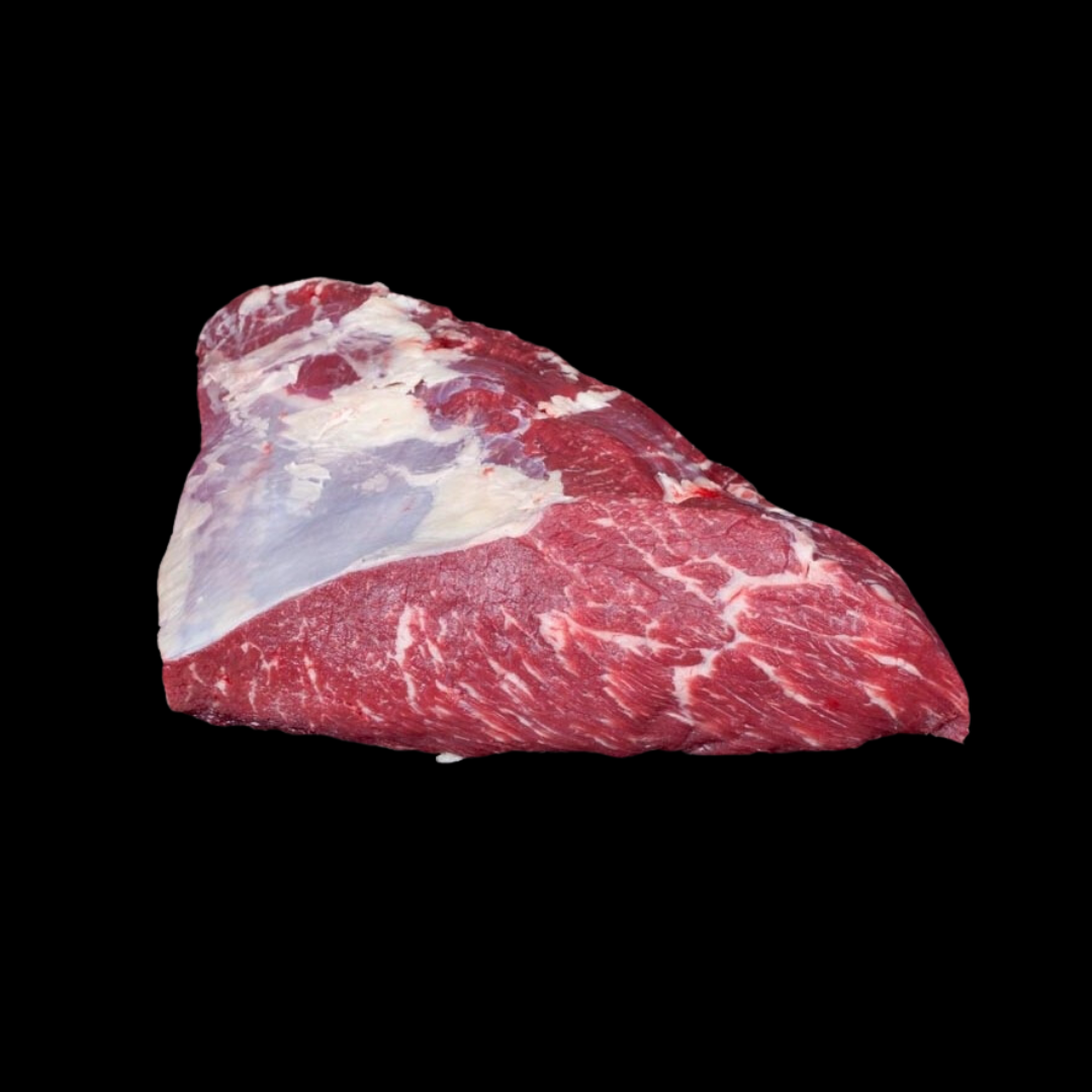 TAPILLA
