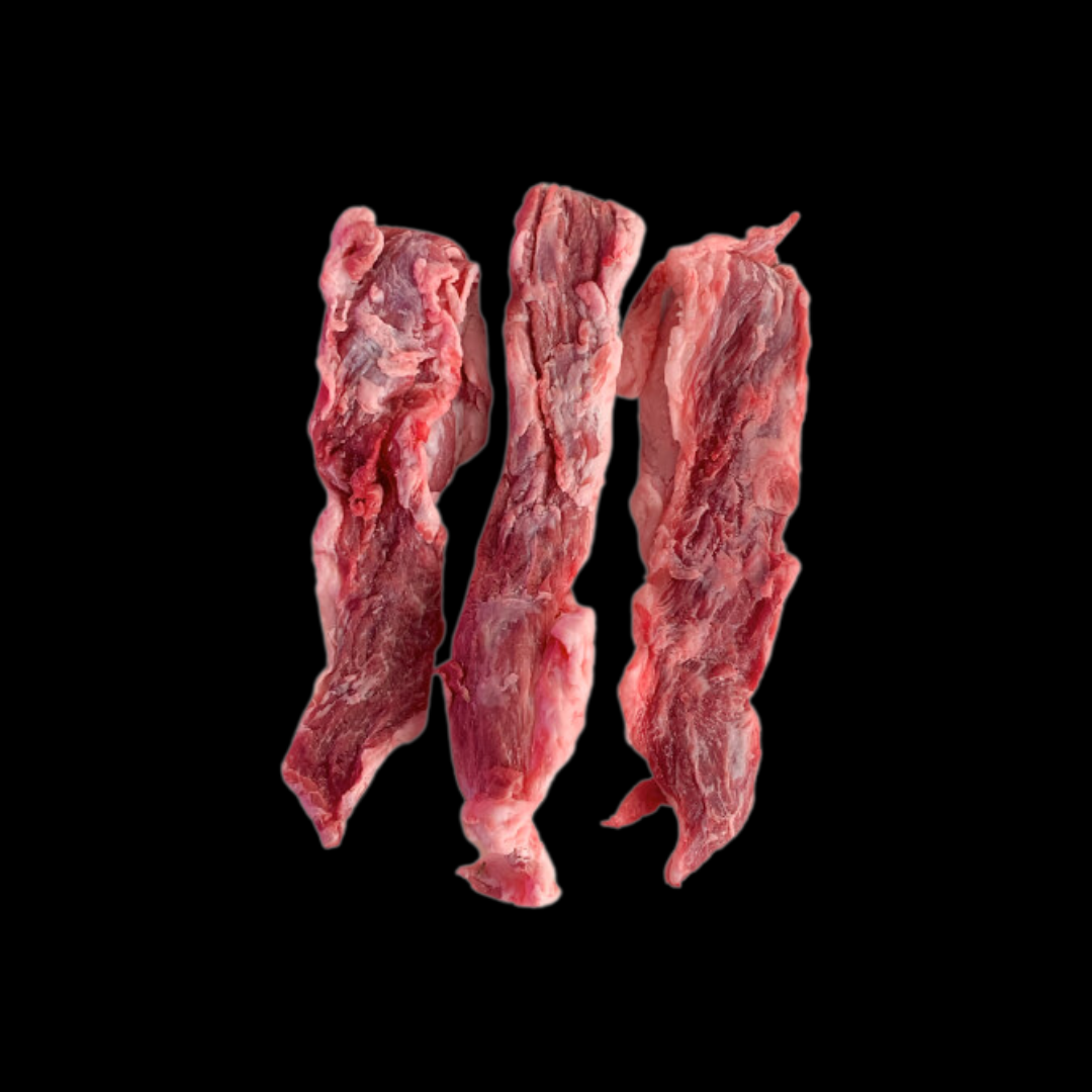 LAGARTO IBERICO