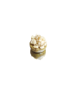 Rocher pignons