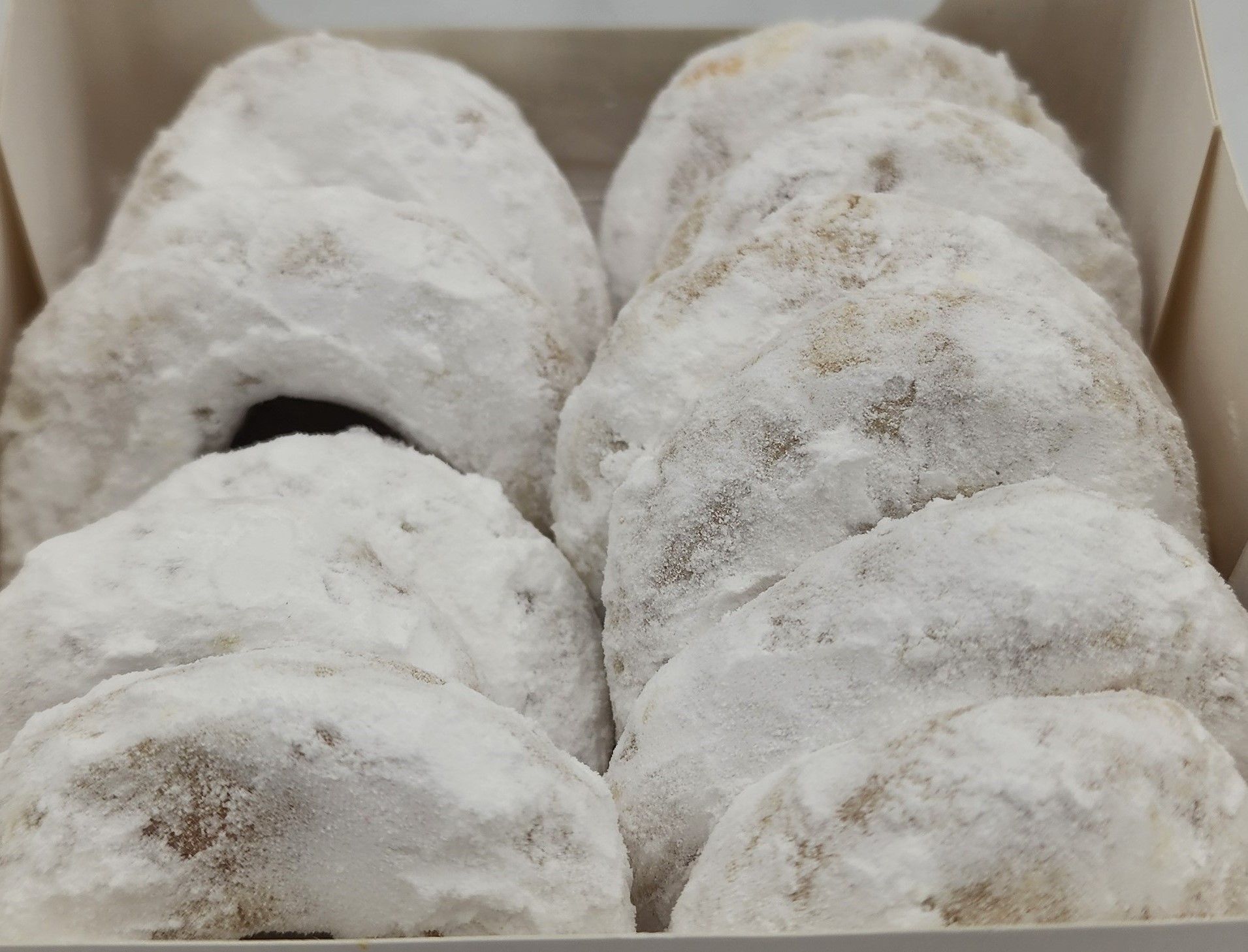 Cornes de Gazelles (12 pièces)