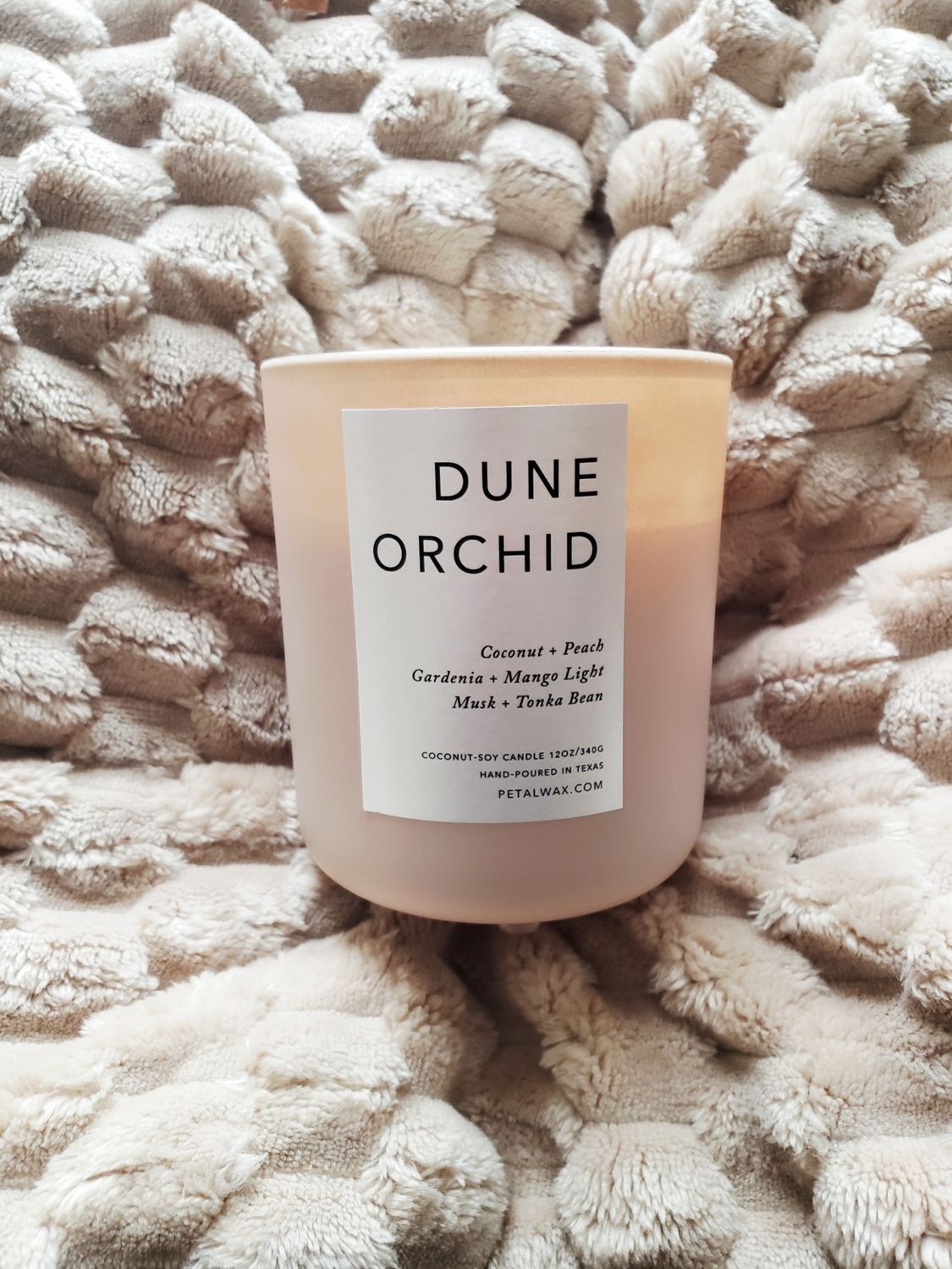 Dune Orchid