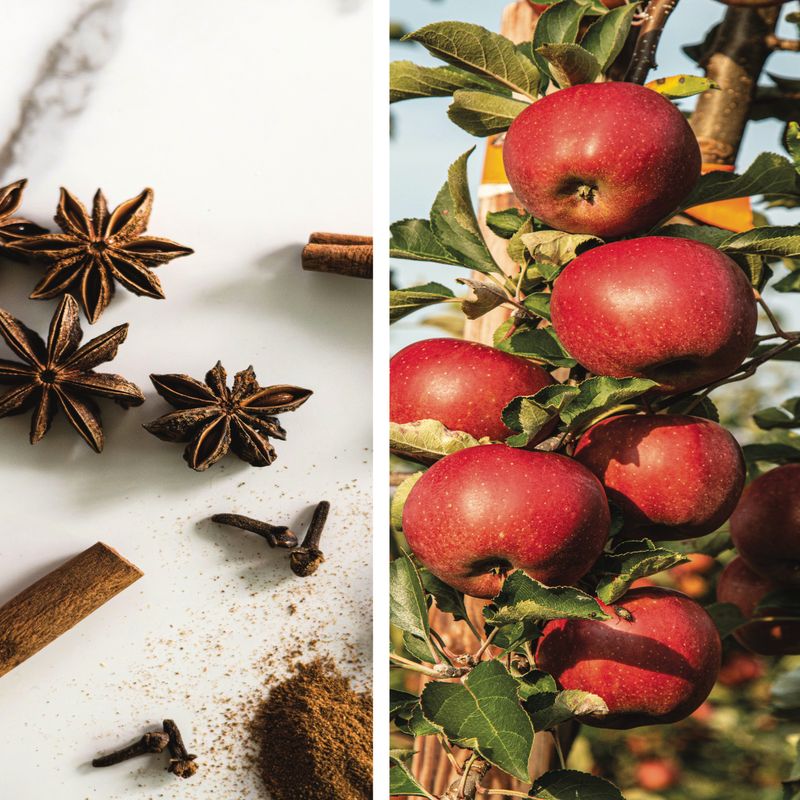 Apple Cinnamon