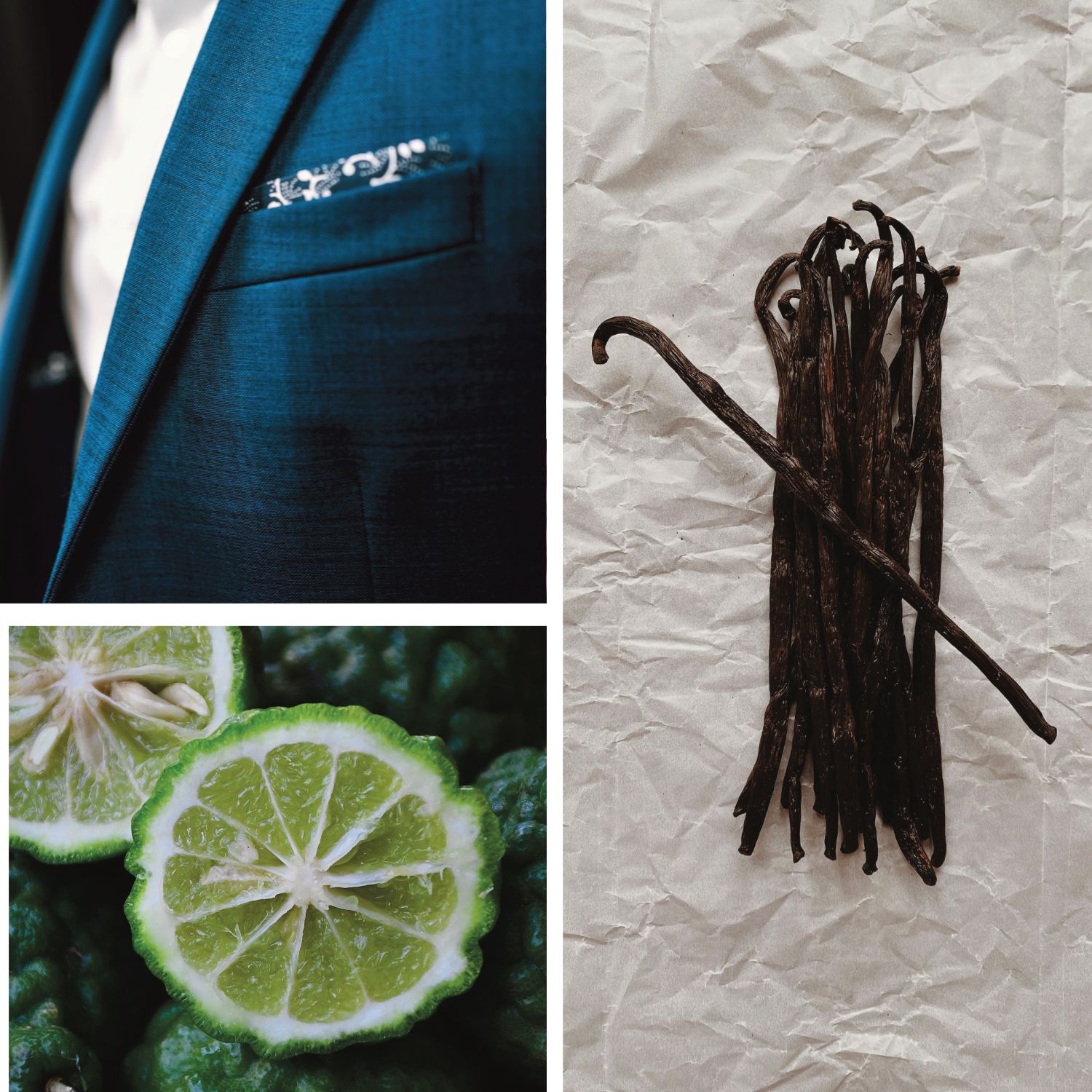 Three Piece Suit