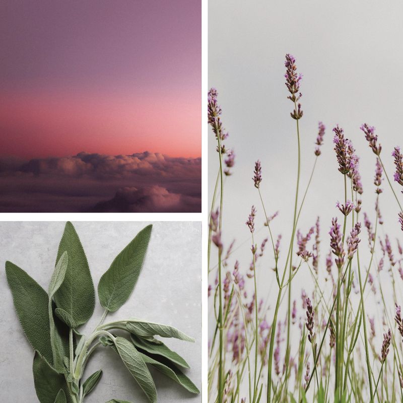 Lavender &amp; White Sage