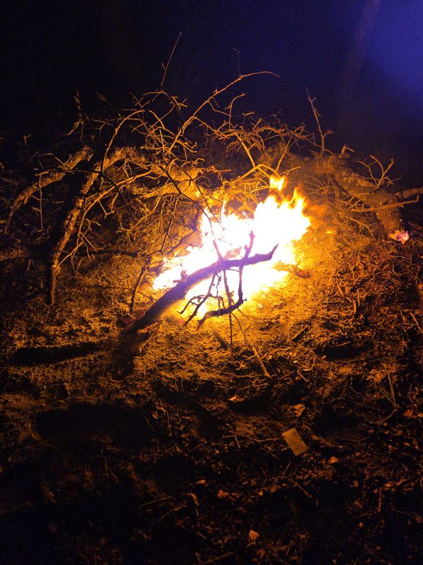 Cinnamon Embers