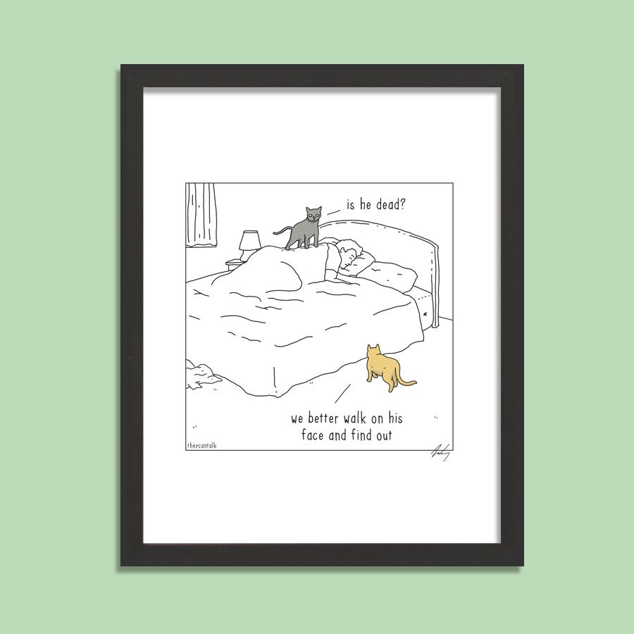 Cat Wake Up Signed Print