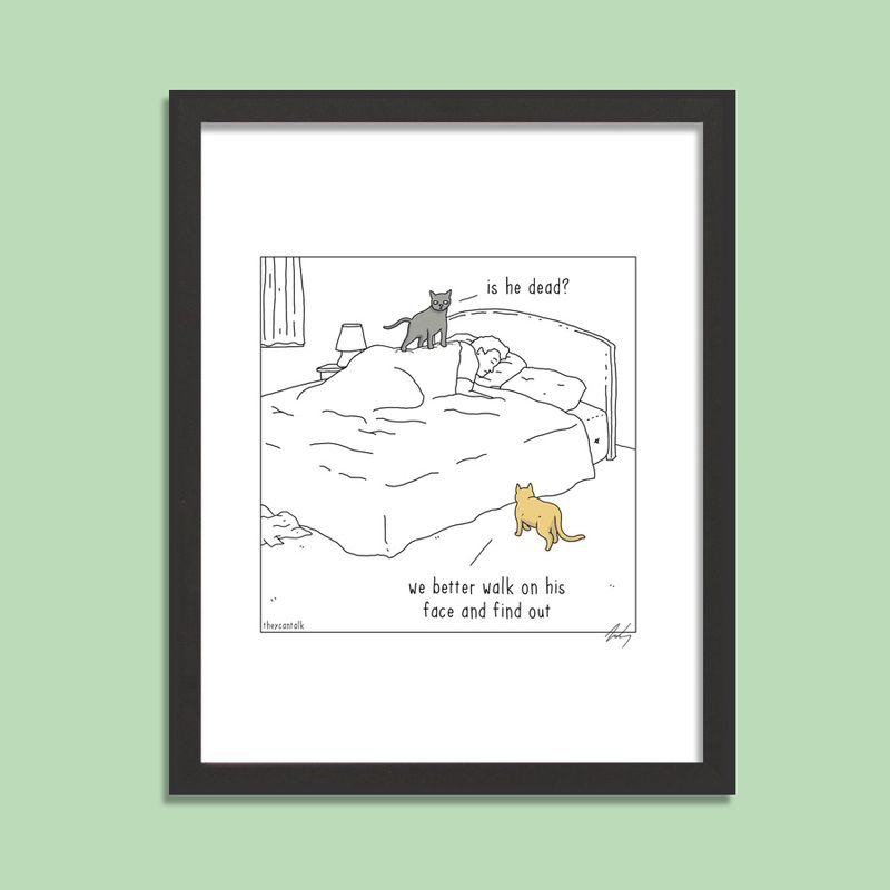 Cat Wake Up Signed Print