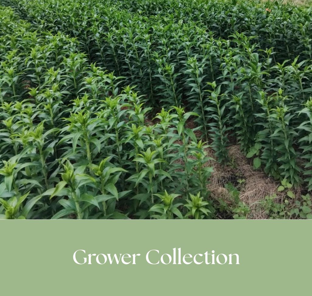 Grower Collection