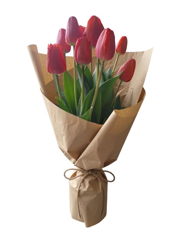 Tulips - 10 stems