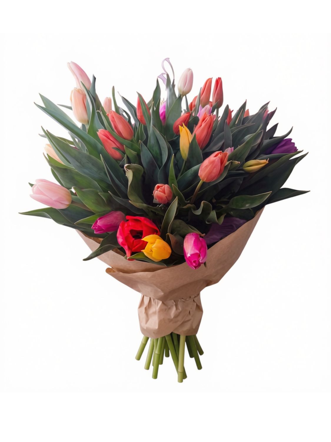 Tulips - 30 stems