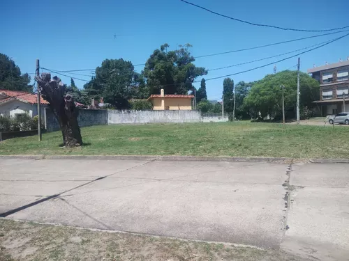 LA FLORESTA, EXCELENTE TERRENO