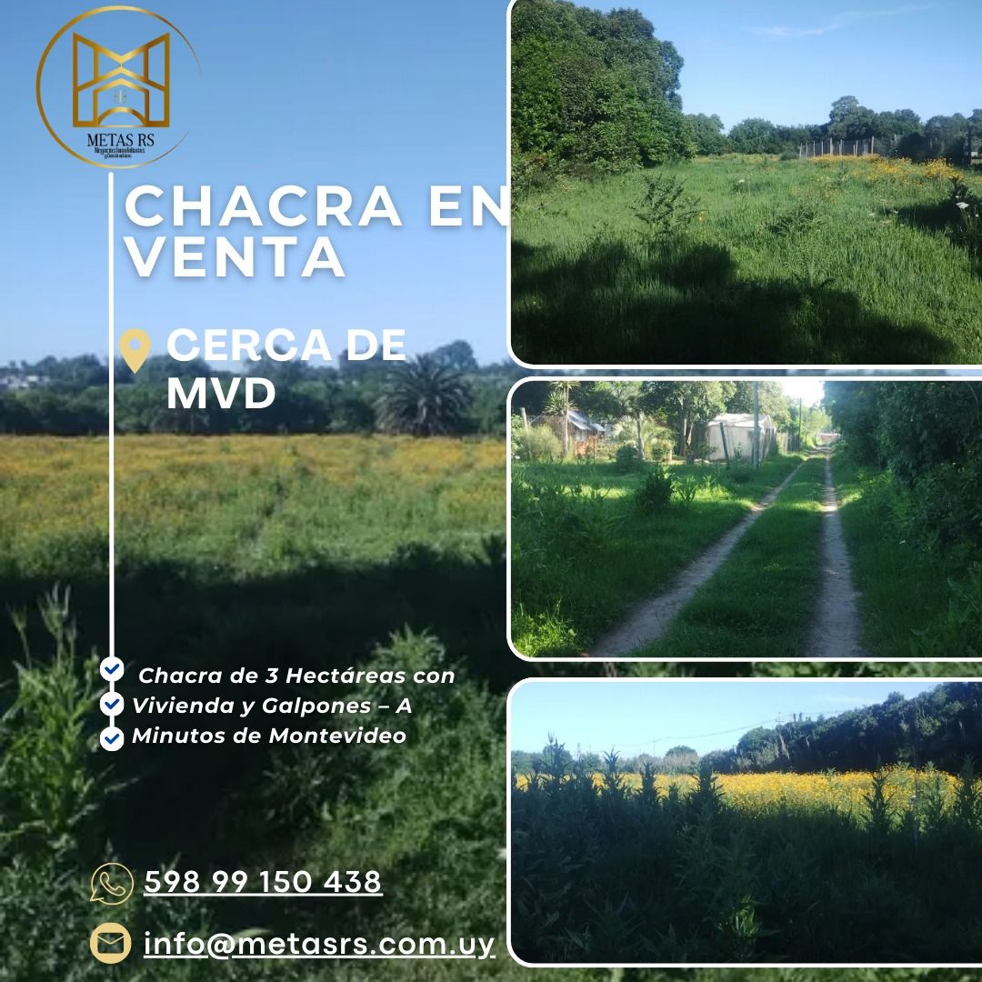 EXCELENTE NEGOCIO, CHACRA PROXIMA A MONTEVIDEO