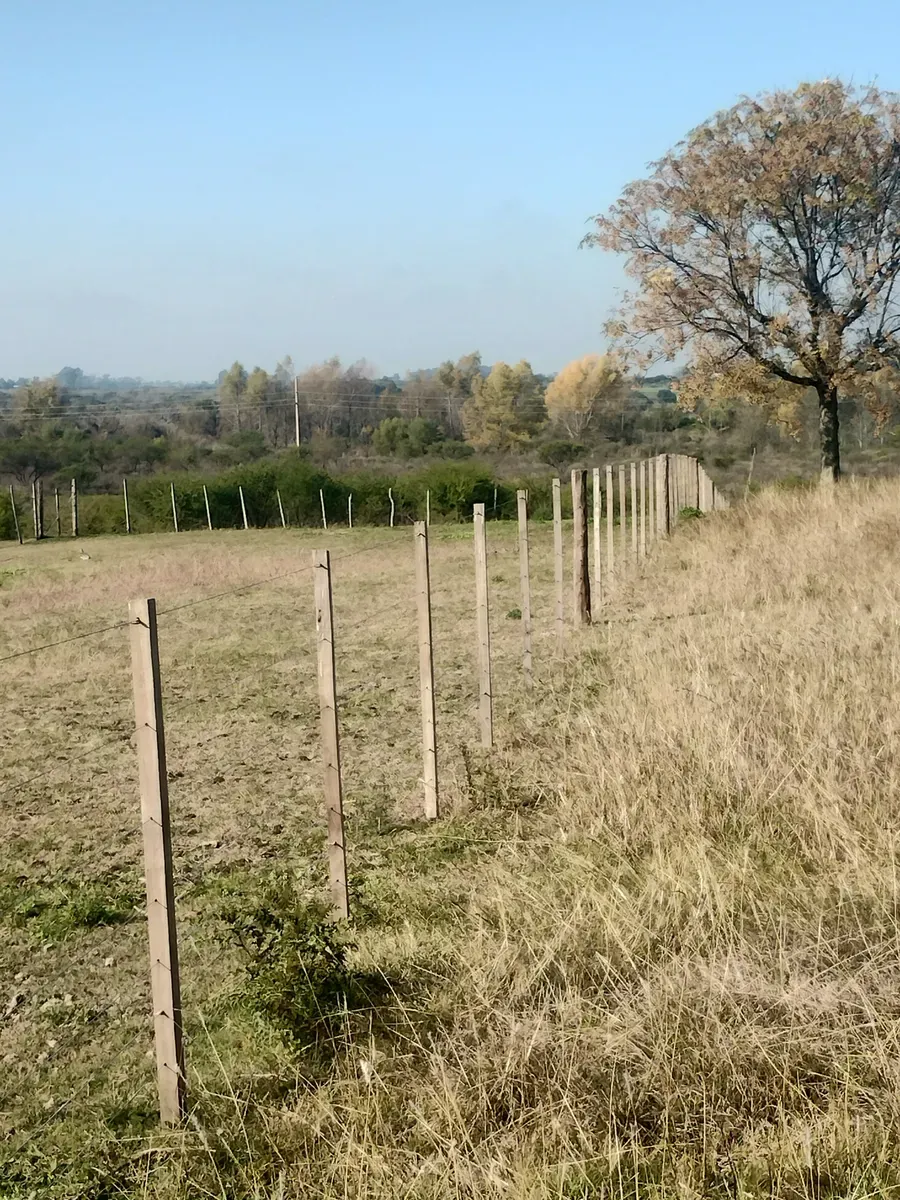 CAMPO EN CANELONES, OPORTUNIDAD