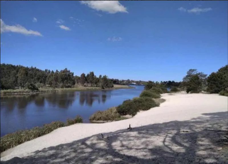 EL PINAR, CASA, VENTA