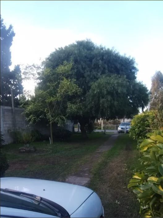 ZONAMERICA, CASA, VENTA