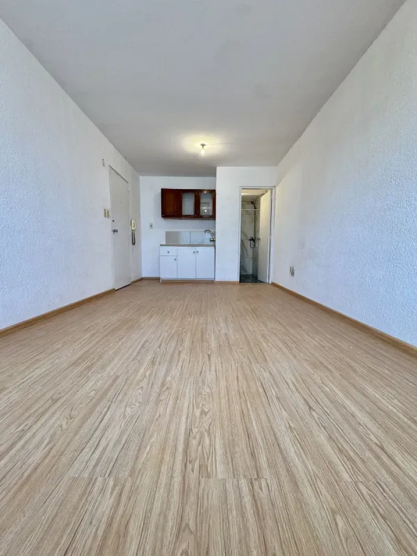 Monoambiente Mercedes y Yaguarón