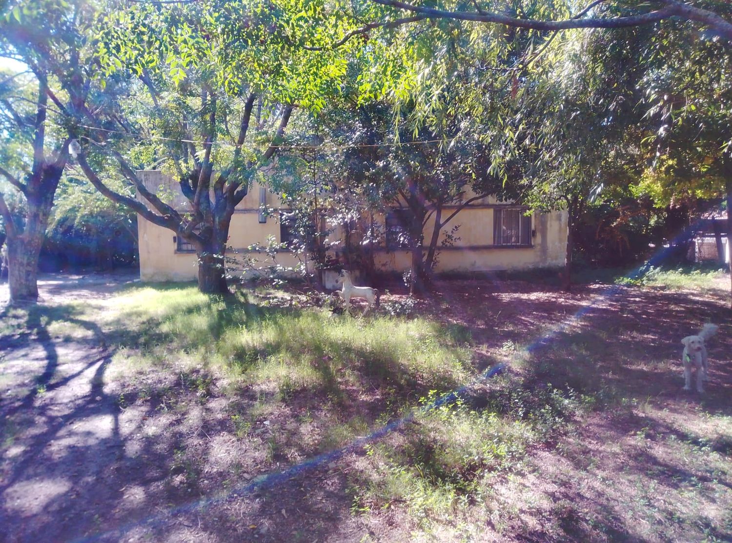 RESIDENCIA DE 6 DORMITORIOS - 1600 M2 DE TERRENO - MARINDIA