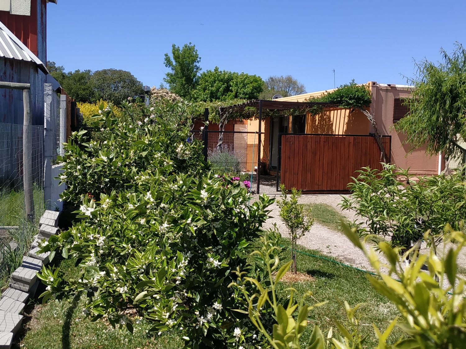 La Paz, Colonia: Vivienda Contendor Regularizada en amplio Terreno De 680m2