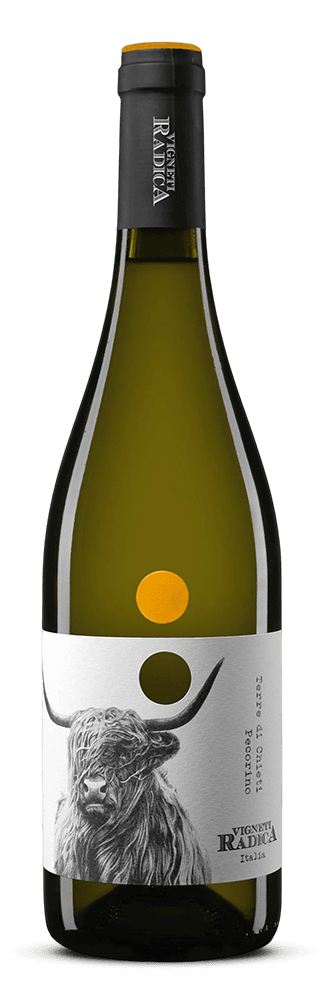 Radica, Pecorino